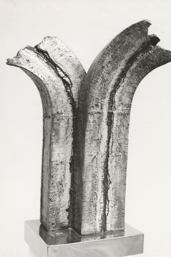 Tomáš Proll, Pramen, foto: Libor Teplý